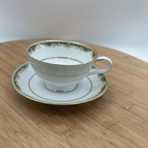 Vintage Noritake‎ Oriental #6341 Tea Cup & Saucer set